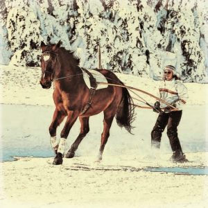 ski-joëring-cheval (2)